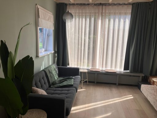 Woonkamer Moderne woonkamer met een bank, planten en grote ramen met gordijnen.